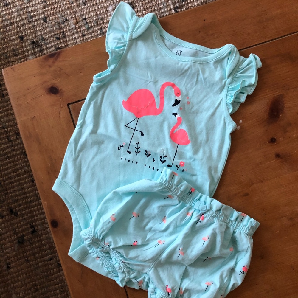 NWOT Baby GAP Toddler Girl Set